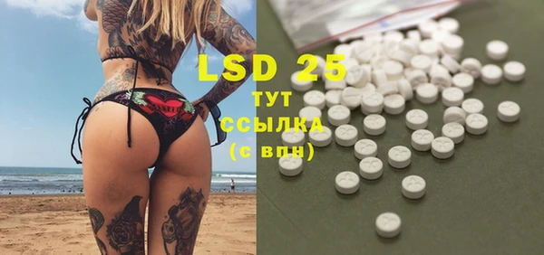 гашик Кулебаки