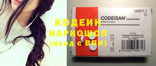 гашик Кулебаки