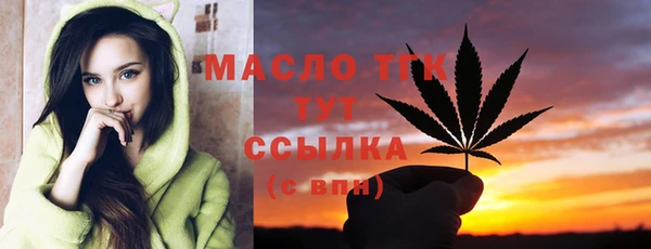 гашик Кулебаки