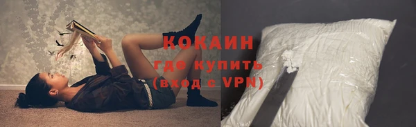 гашик Кулебаки
