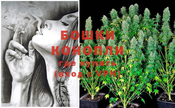 гашик Кулебаки