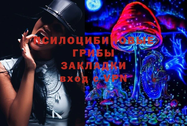 гашик Кулебаки