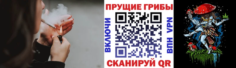 darknet как зайти  Слюдянка  Галлюциногенные грибы мицелий  hydra ТОР 